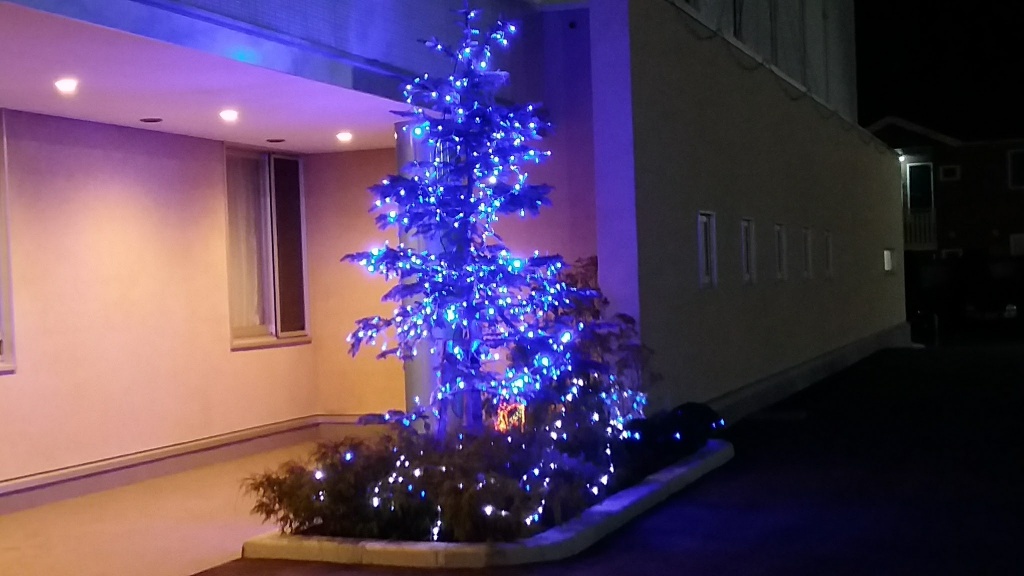 Mkイルミネーションのクリスマスツリー 八戸k様邸 青森県八戸市のガーデン エクステリア 外構 こうげつえん