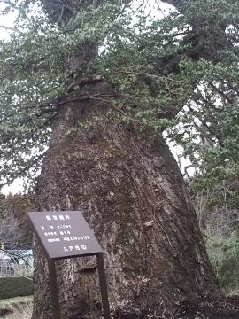 日本一がありました。