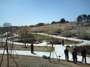 八戸公園サクラの杜ゾーンオープン