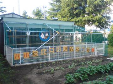 小学校奉仕活動父親の会